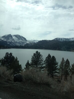 Unclassified image, 2 of 7, button