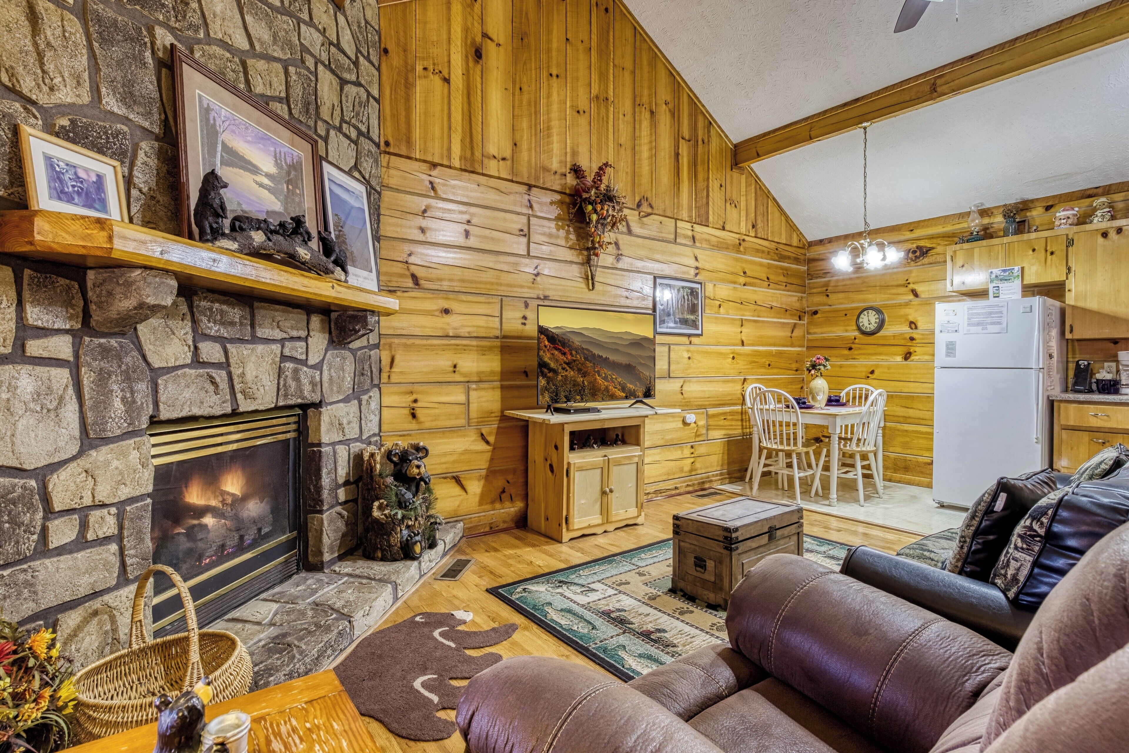 TV, fireplace, DVD player