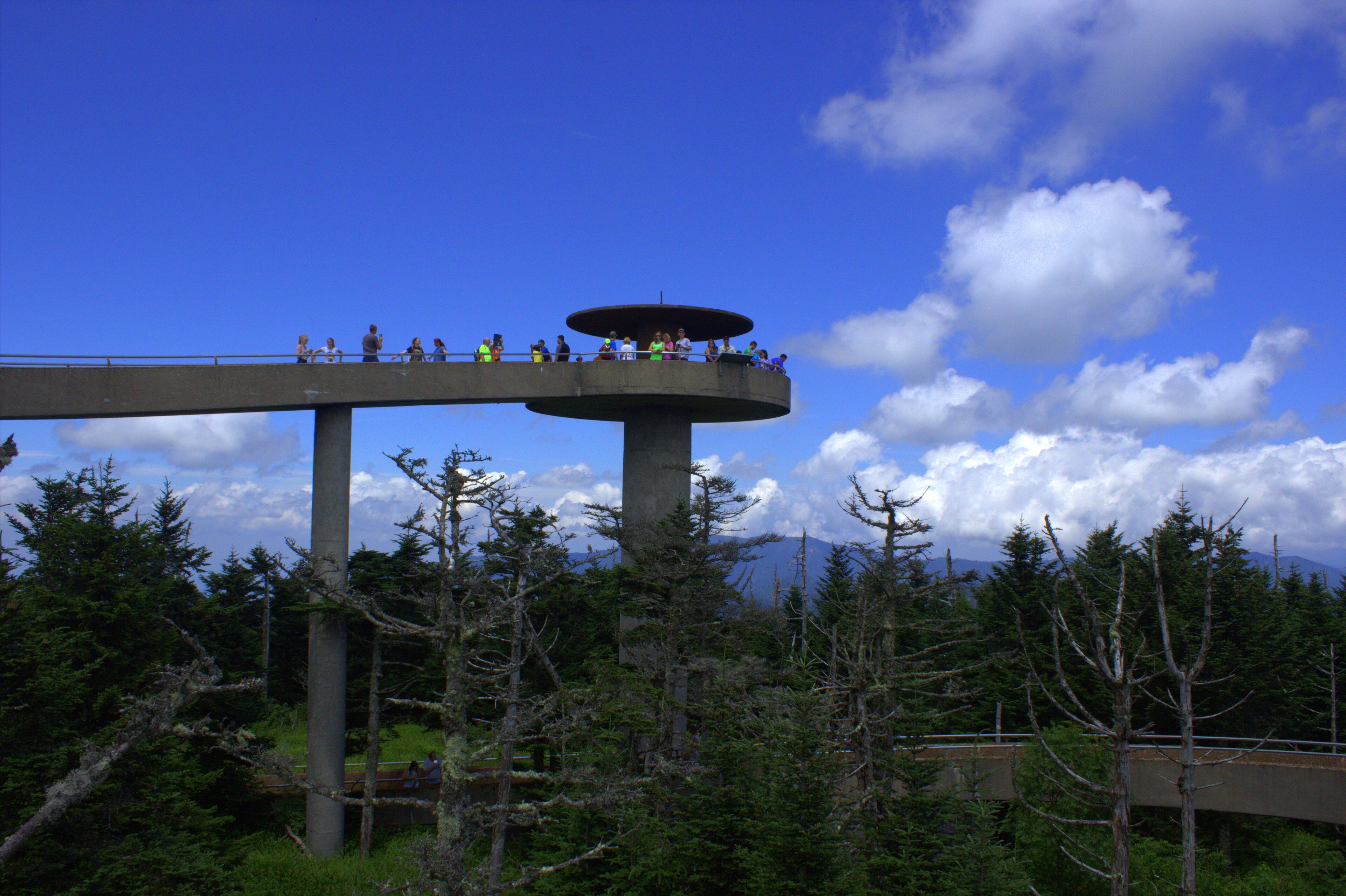 Una torre de observación de hormigón con una plataforma circular para apreciar las vistas, rodeada de árboles y un cielo azul despejado.