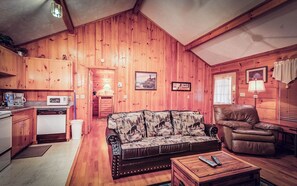 TV, fireplace, DVD player