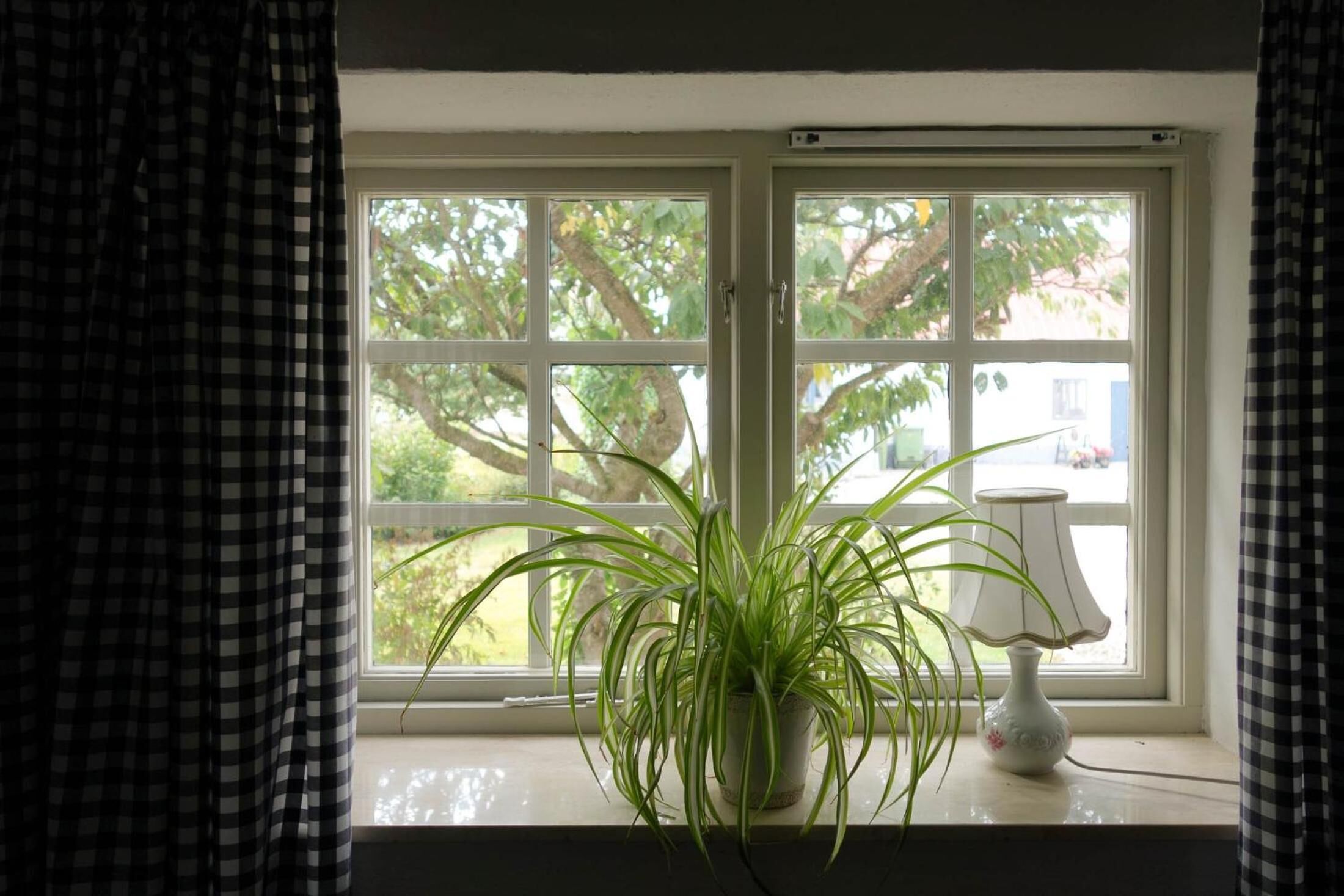 A window with a potted plant and a lamp on a windowsill.