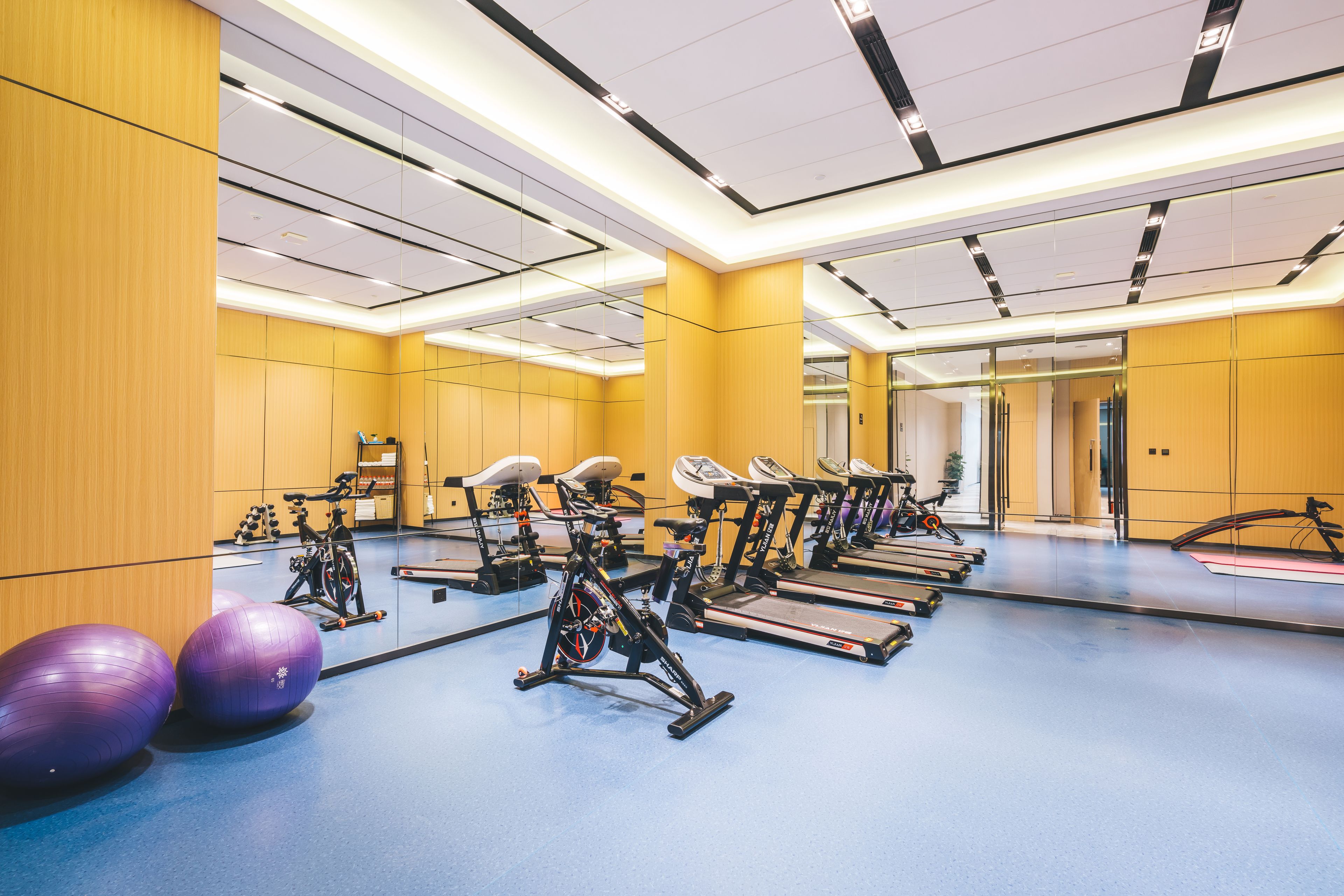 A gym with exercise equipment and large mirrors on the walls.