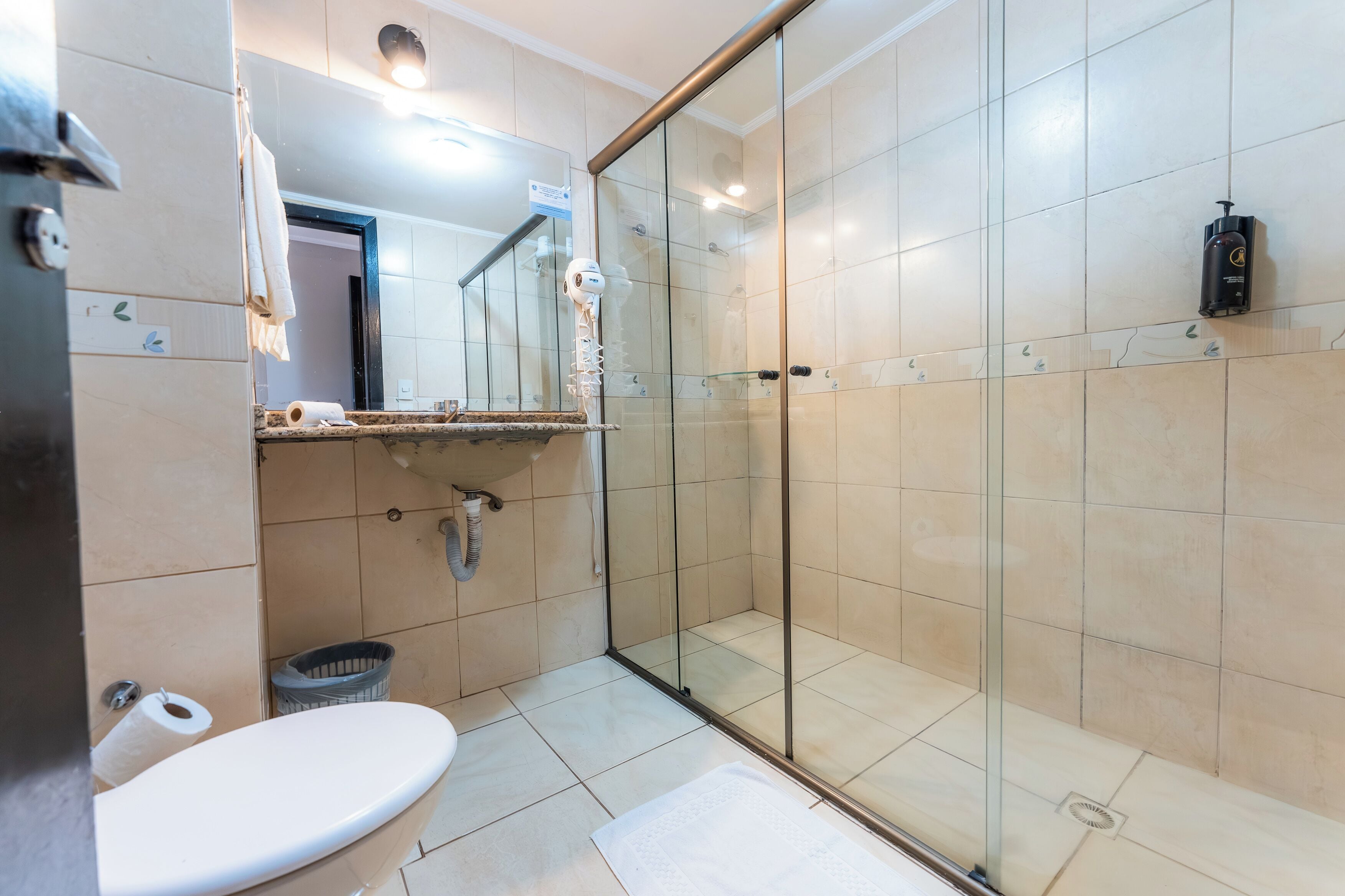 Shower, hair dryer, bidet, towels