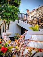 A staircase with a black railing leading to a white door, surrounded by greenery and a decorative fence.
