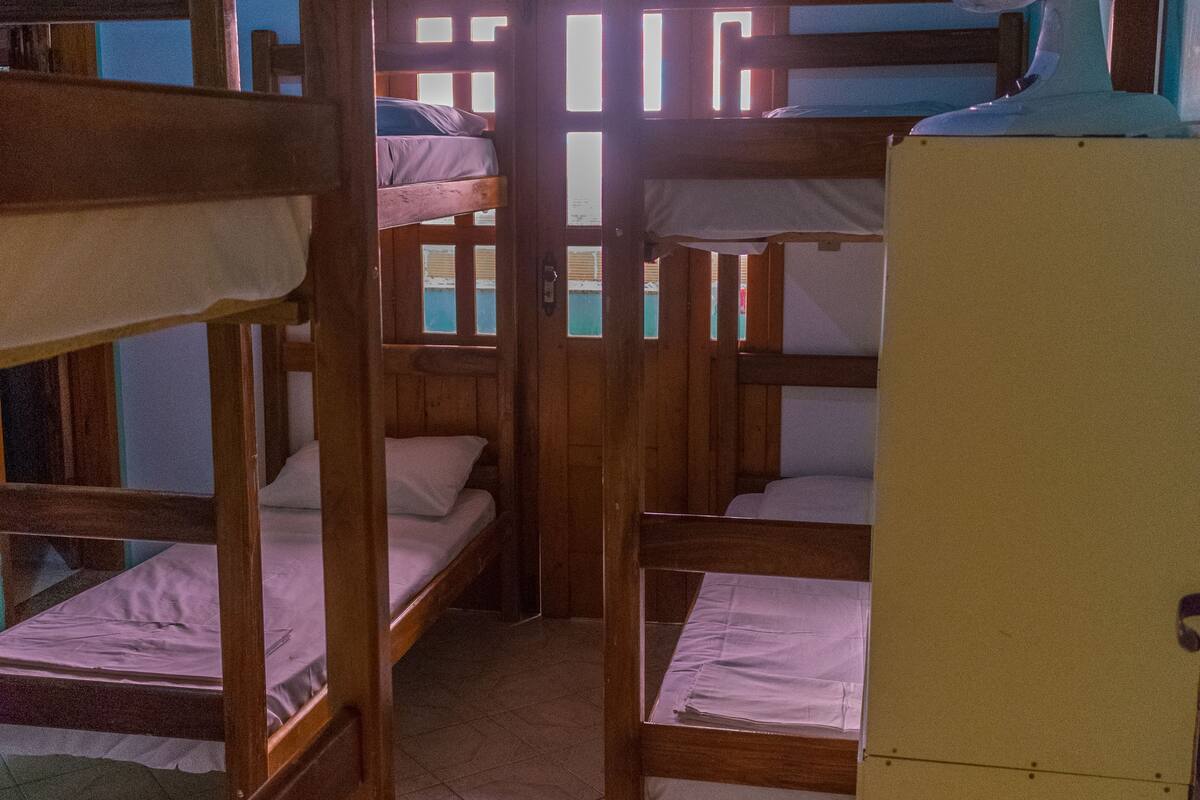 Dormitorio compartido, solo para mujeres (8 camas) | Wifi gratis y ropa de cama