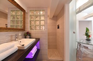 Shower, hair dryer, towels