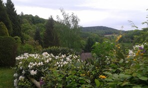 Terrain de l’hébergement 