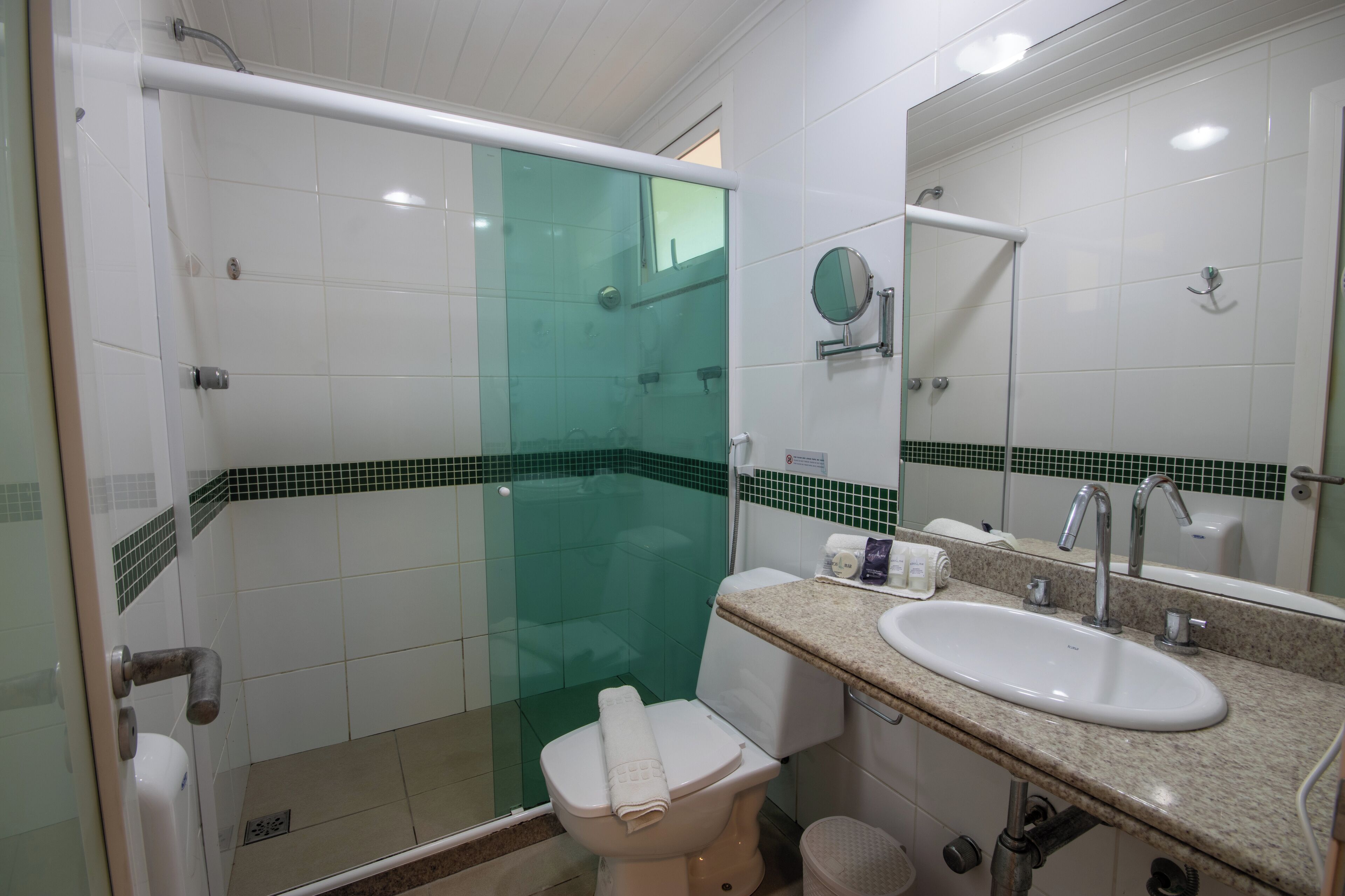 A bathroom with a glass-enclosed shower, a toilet, a sink, and a mirror.