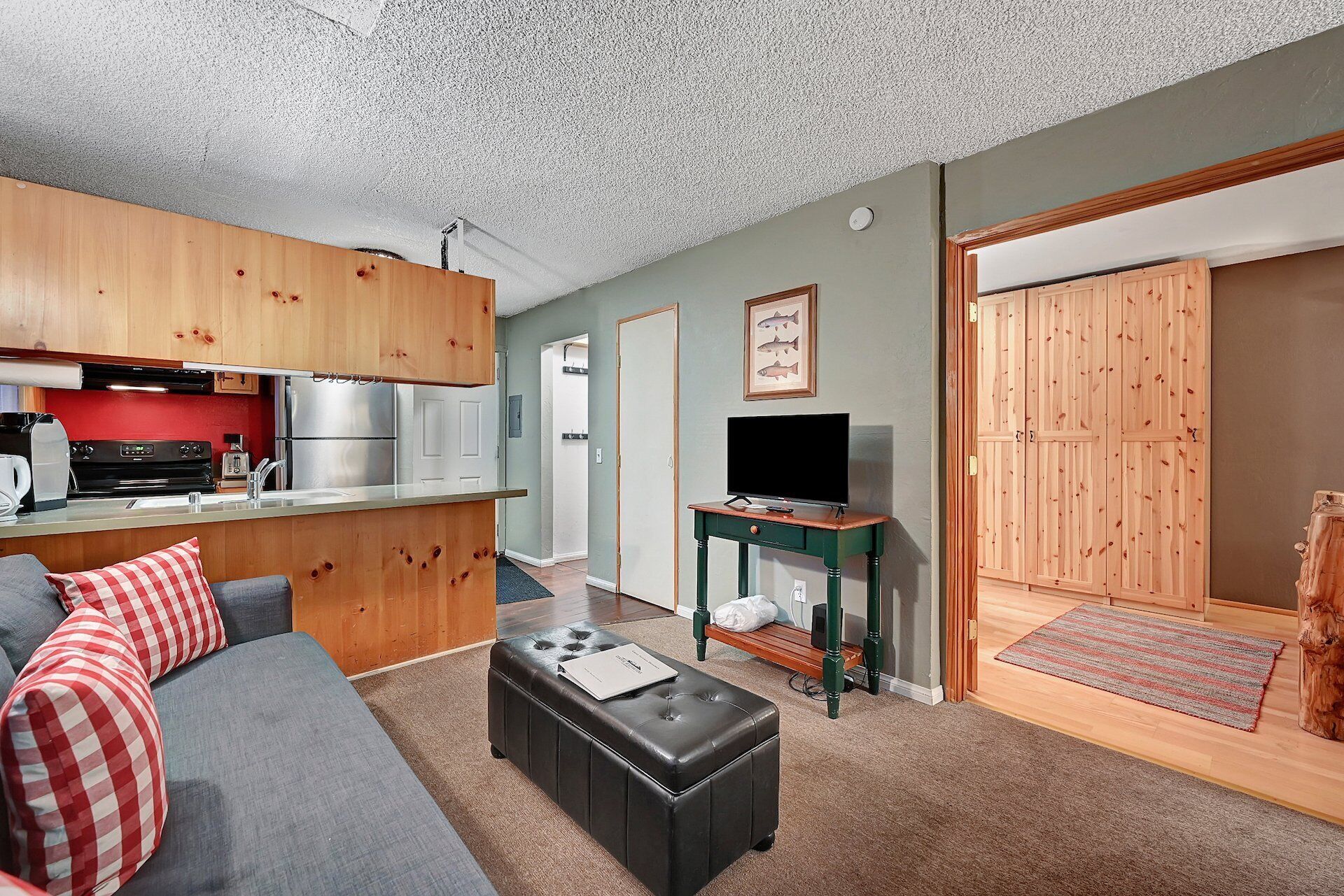 Un espacio habitable compacto con kitchenette, un sofá gris con almohadas rojas, un taburete negro, un televisor sobre un mueble de madera y un armario de madera.