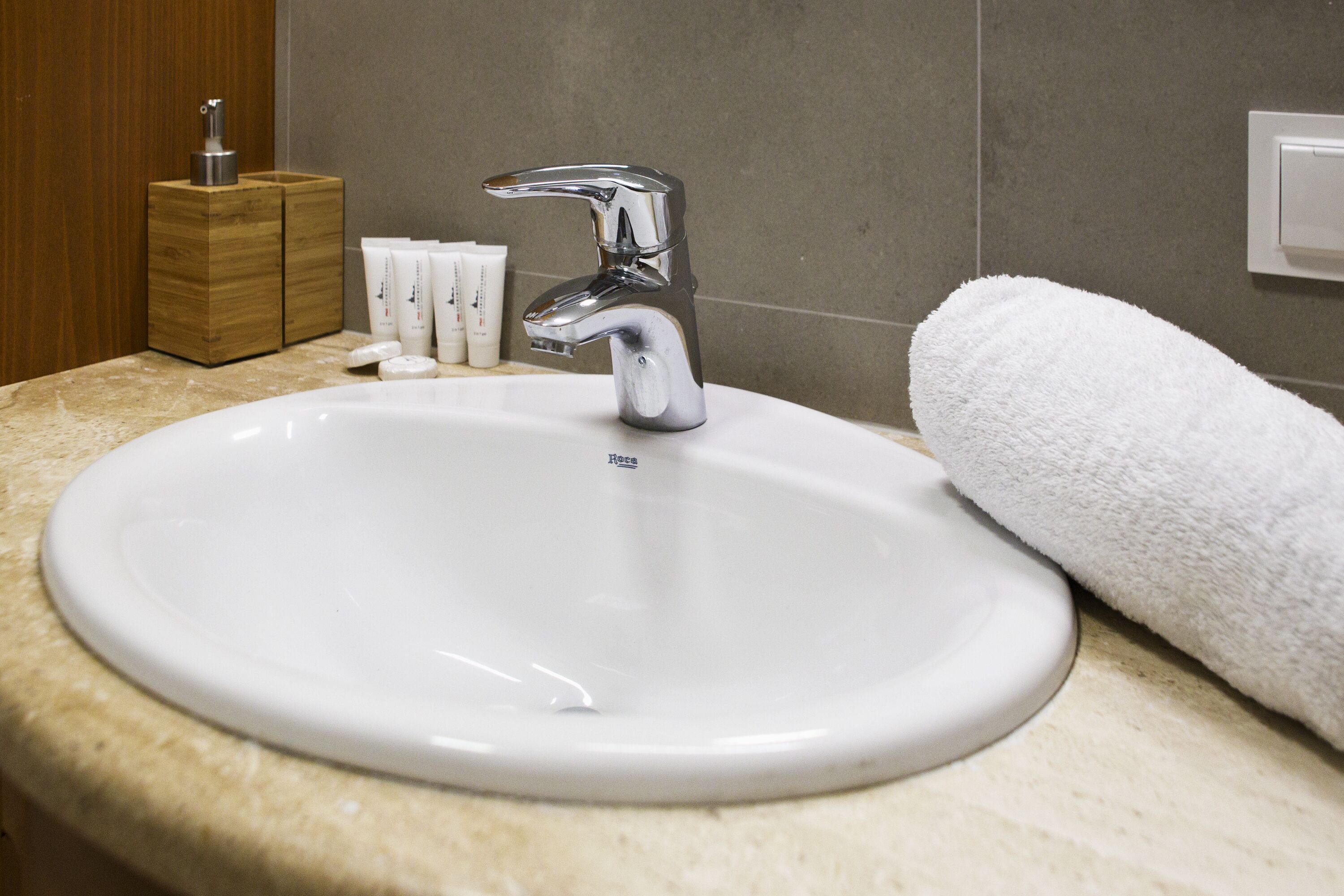 business apartment | bathroom sink