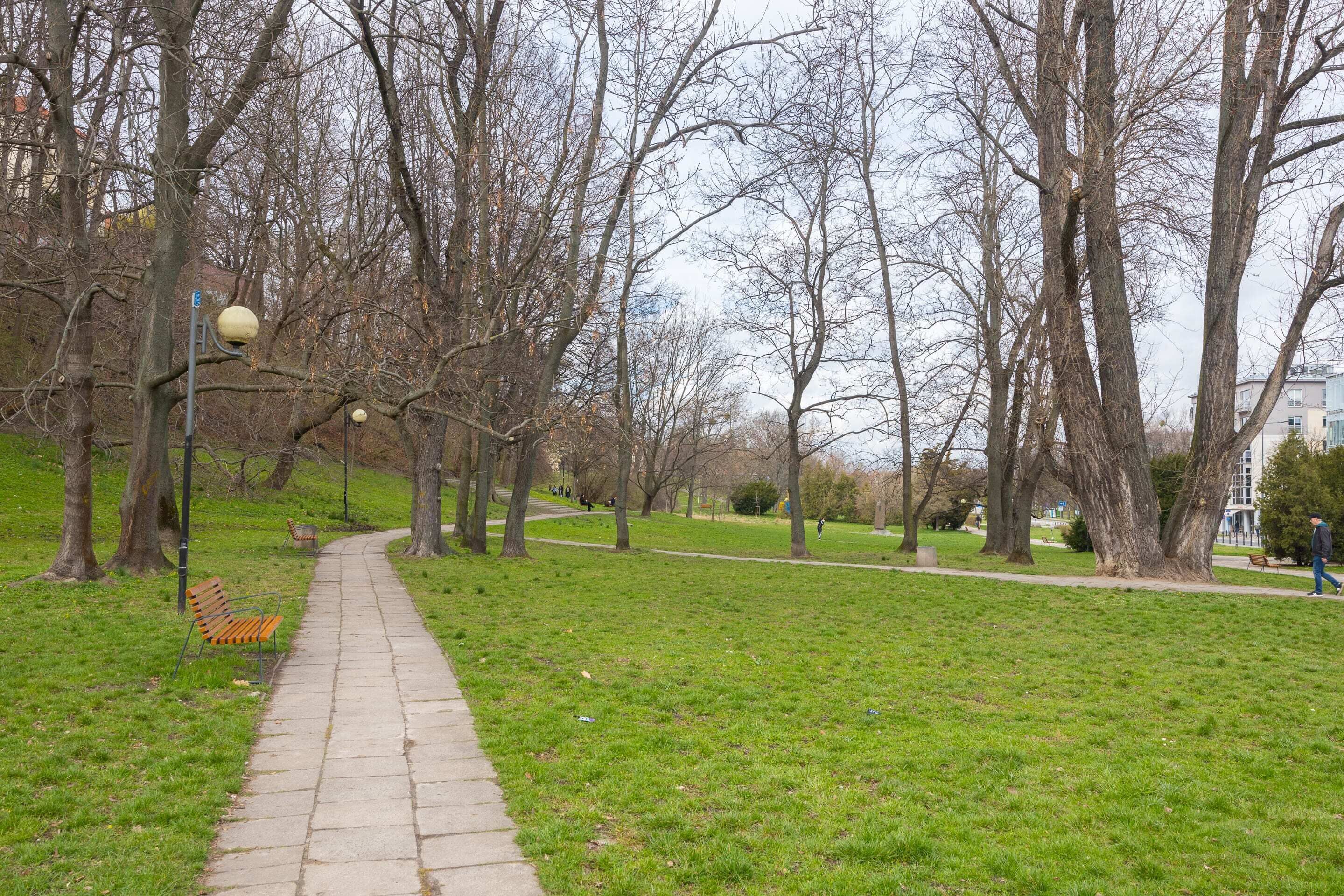 Un sendero en un parque con bancos y árboles.