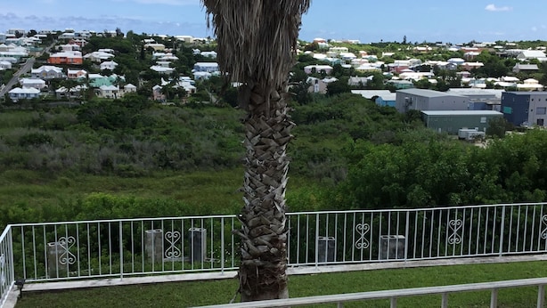 A view of a residential area with houses and a palm tree in the foreground. - Central Apartment (Devonshire Parish)