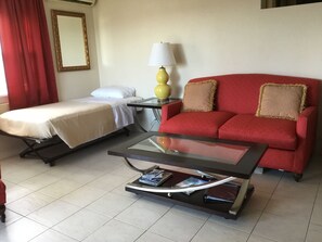 Departamento tradicional, 1 cama King size y sofá cama, vista al valle | Área de sala de estar | Televisión 