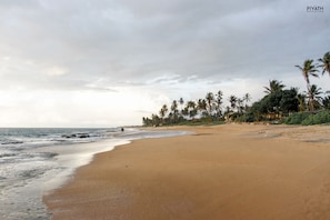 A beach with a sandy shore, palm trees, and the ocean. - Ayana Beach Resort (Negombo)