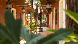 Jardines del alojamiento