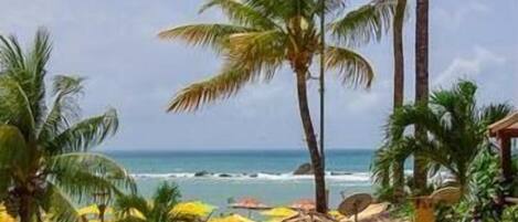 Playa