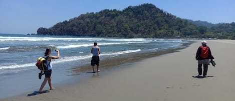 Praia