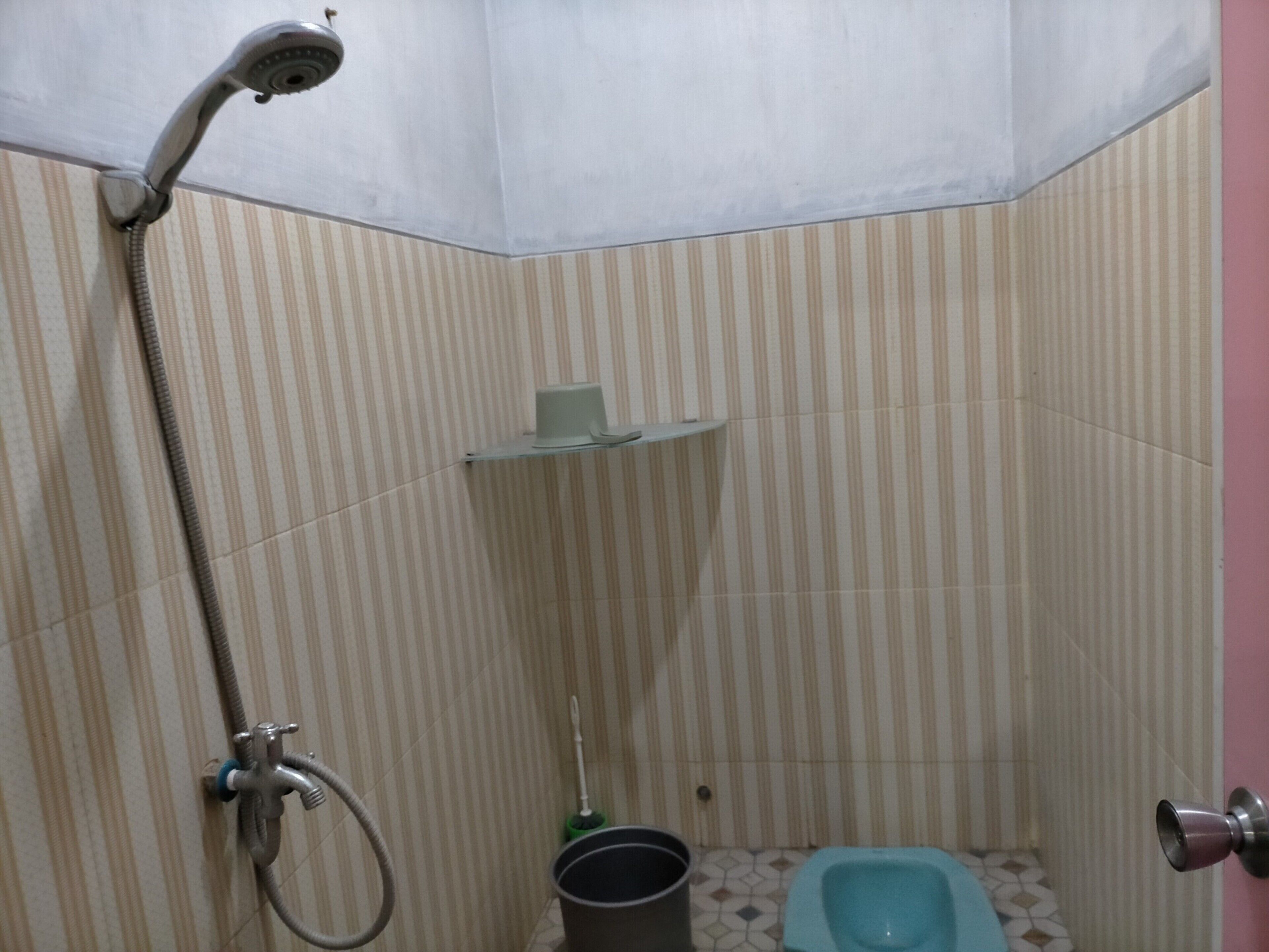 A shower with a handheld showerhead, a toilet, and a bucket.