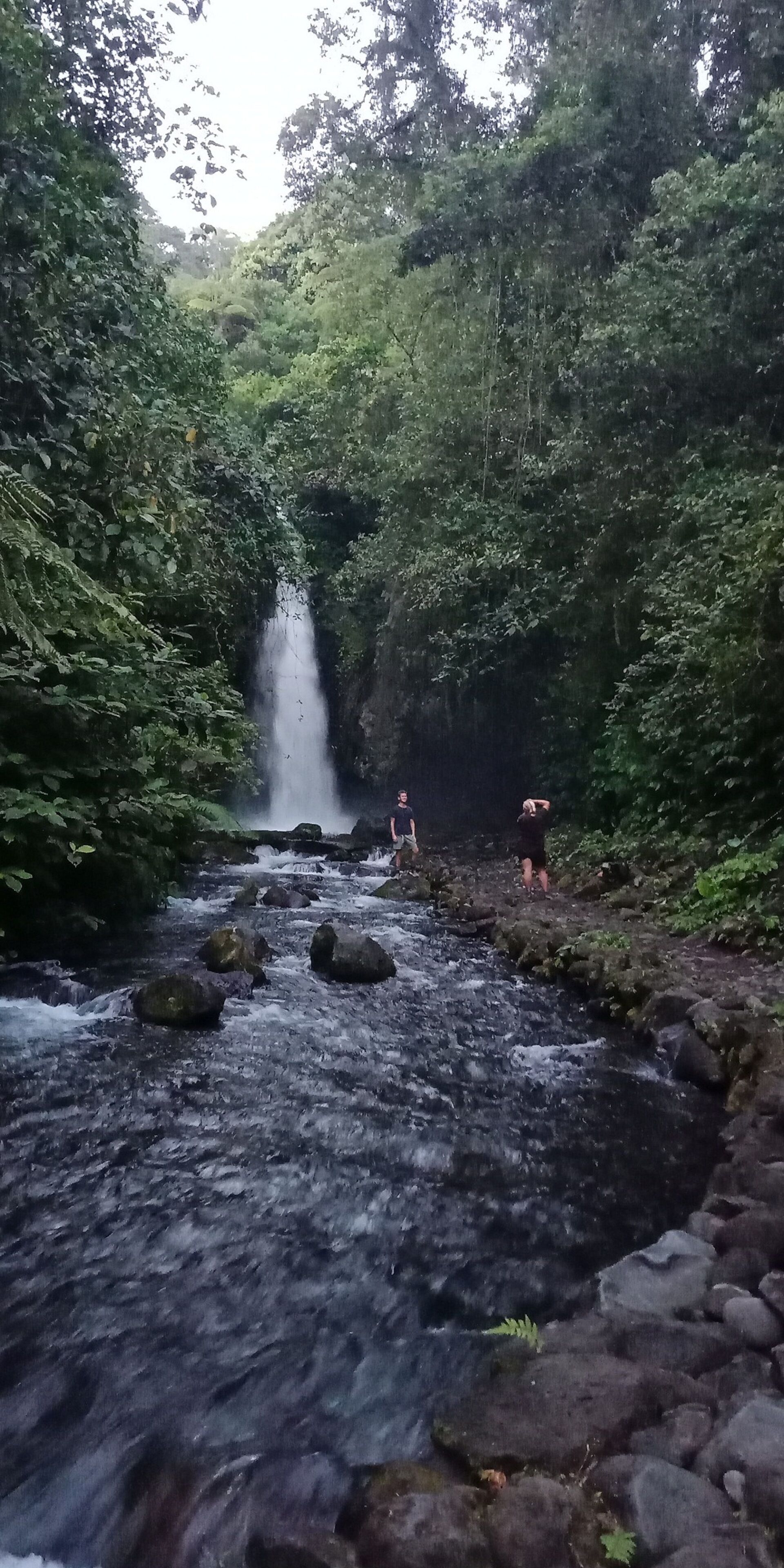 Ein Wasserfall in bewaldeter Landschaft mit einem steinigen Bach.