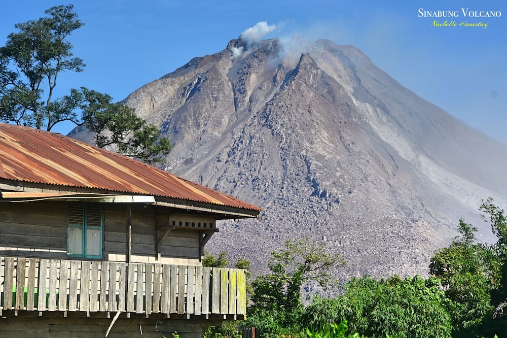 Berastagi Nachelle Homestay - Tiga Binanga