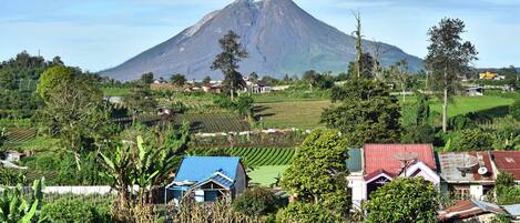 Un paysage rural avec un volcan en arrière-plan, des maisons aux toits rouges et bleus, et une végétation luxuriante.