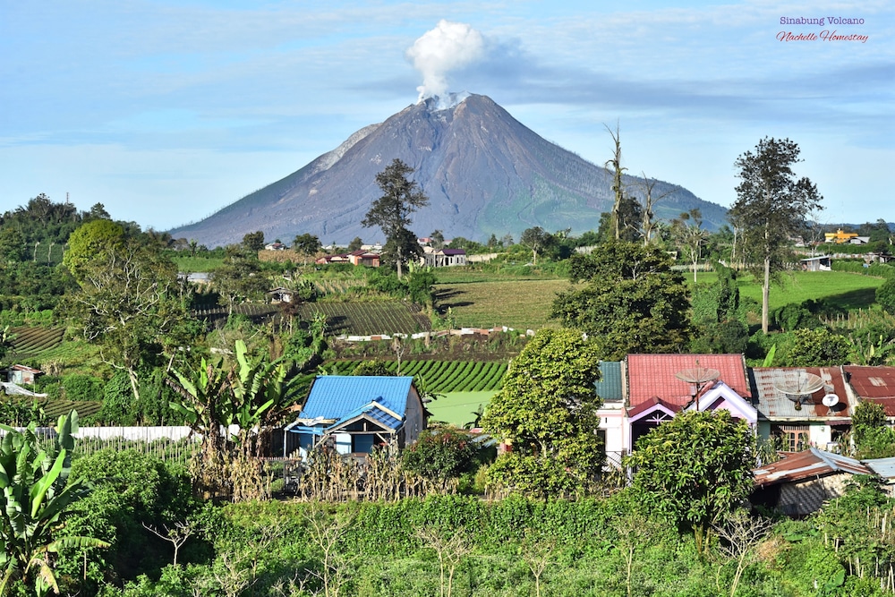 Nachelle Homestay by null