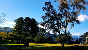 Un quartier résidentiel avec des maisons, des arbres et un ciel dégagé.