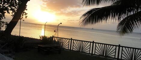 A sunset view from a balcony with a fence, a palm tree, and a bench.