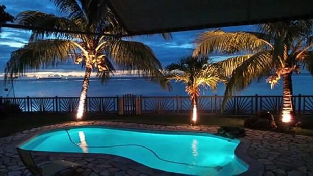 A swimming pool with a curved edge, surrounded by a stone patio. There are palm trees and a railing in the background.