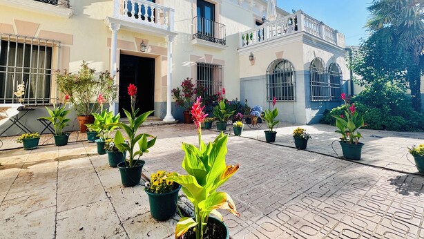 A courtyard with potted plants and a building with white walls and decorative elements.