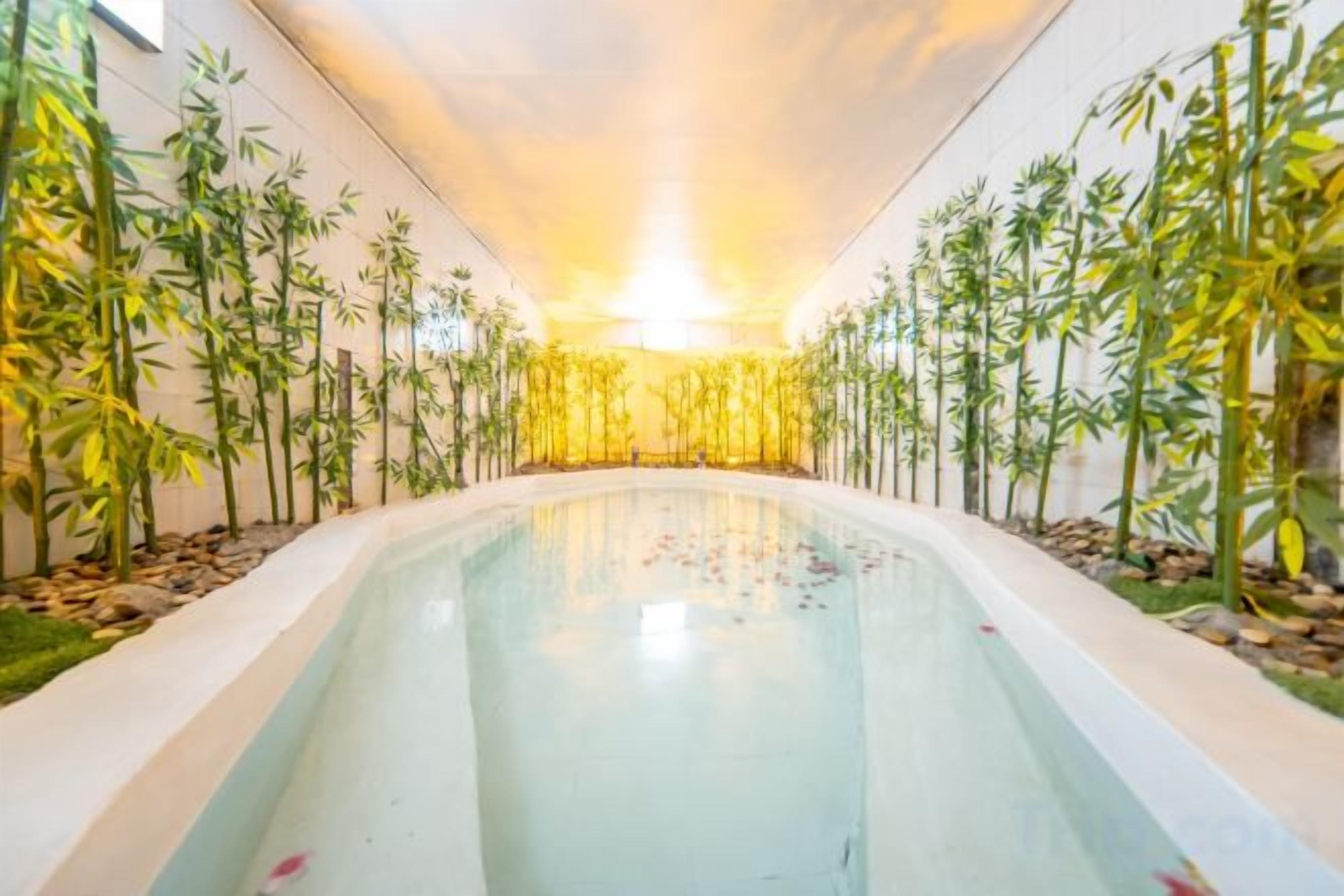 Een lang binnenzwembad met een helder wateroppervlak, omringd door bamboeplanten aan beide zijden.