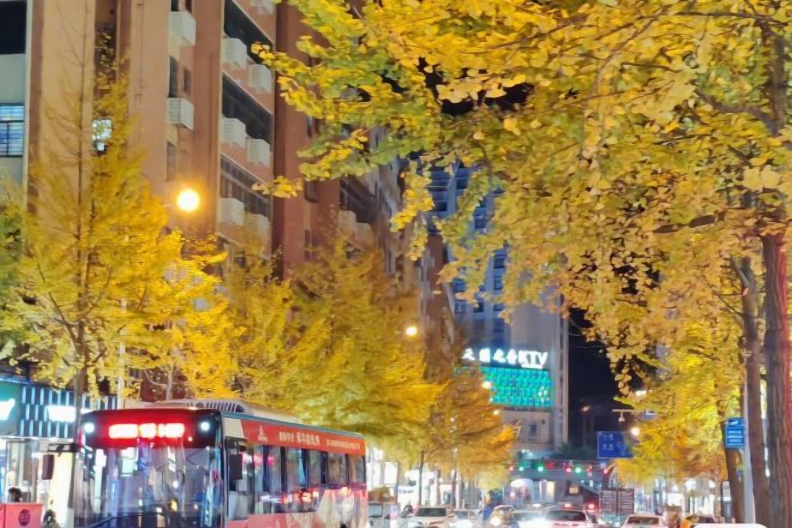 A nighttime city street with a bus, buildings, and illuminated signs.