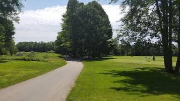 A paved pathway in a park with grassy areas and trees.