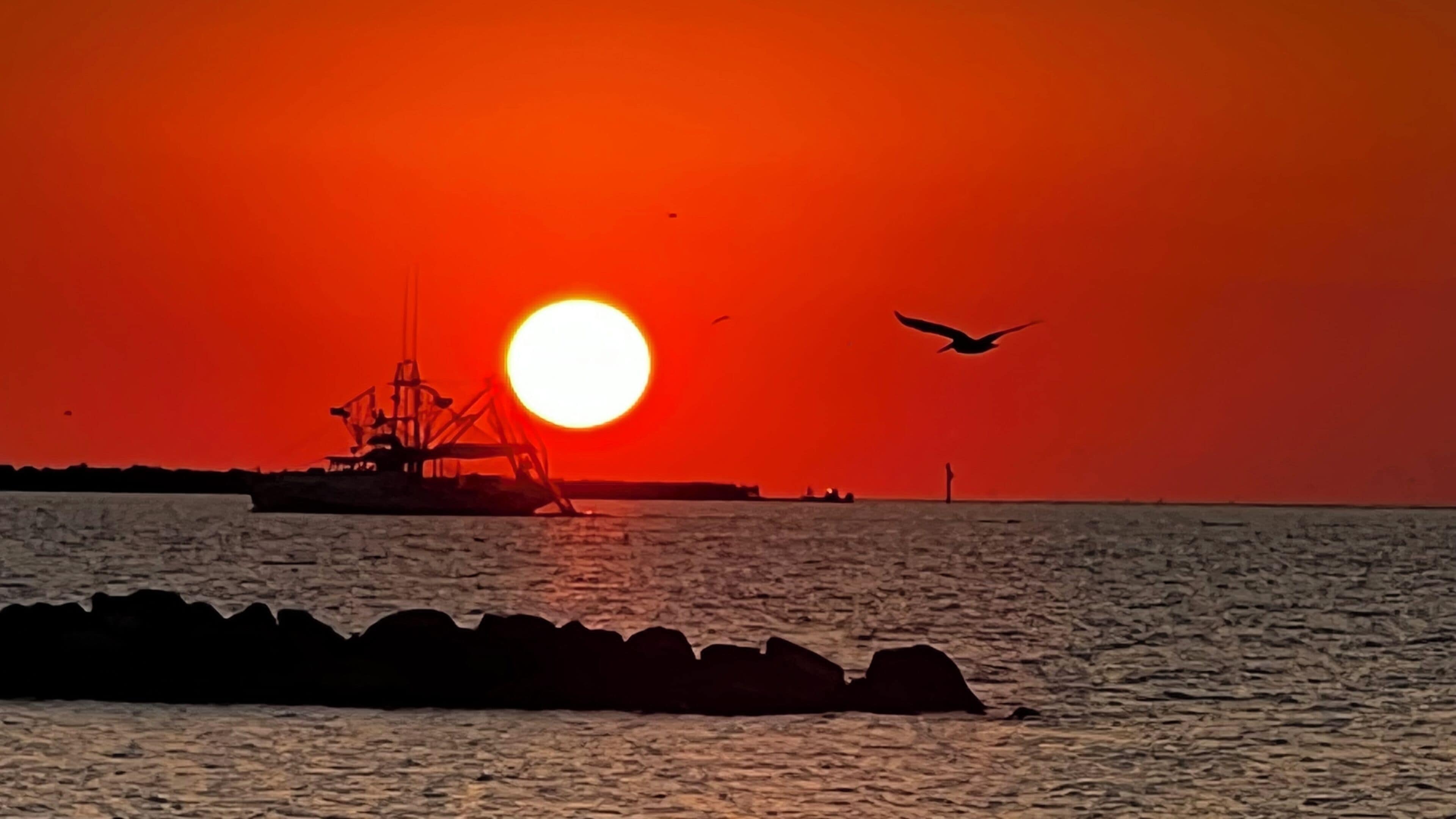 A sunset over a body of water with a ship and a bird in flight.