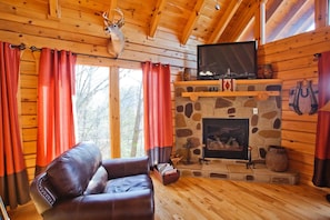 Smart TV, fireplace, video games, DVD player