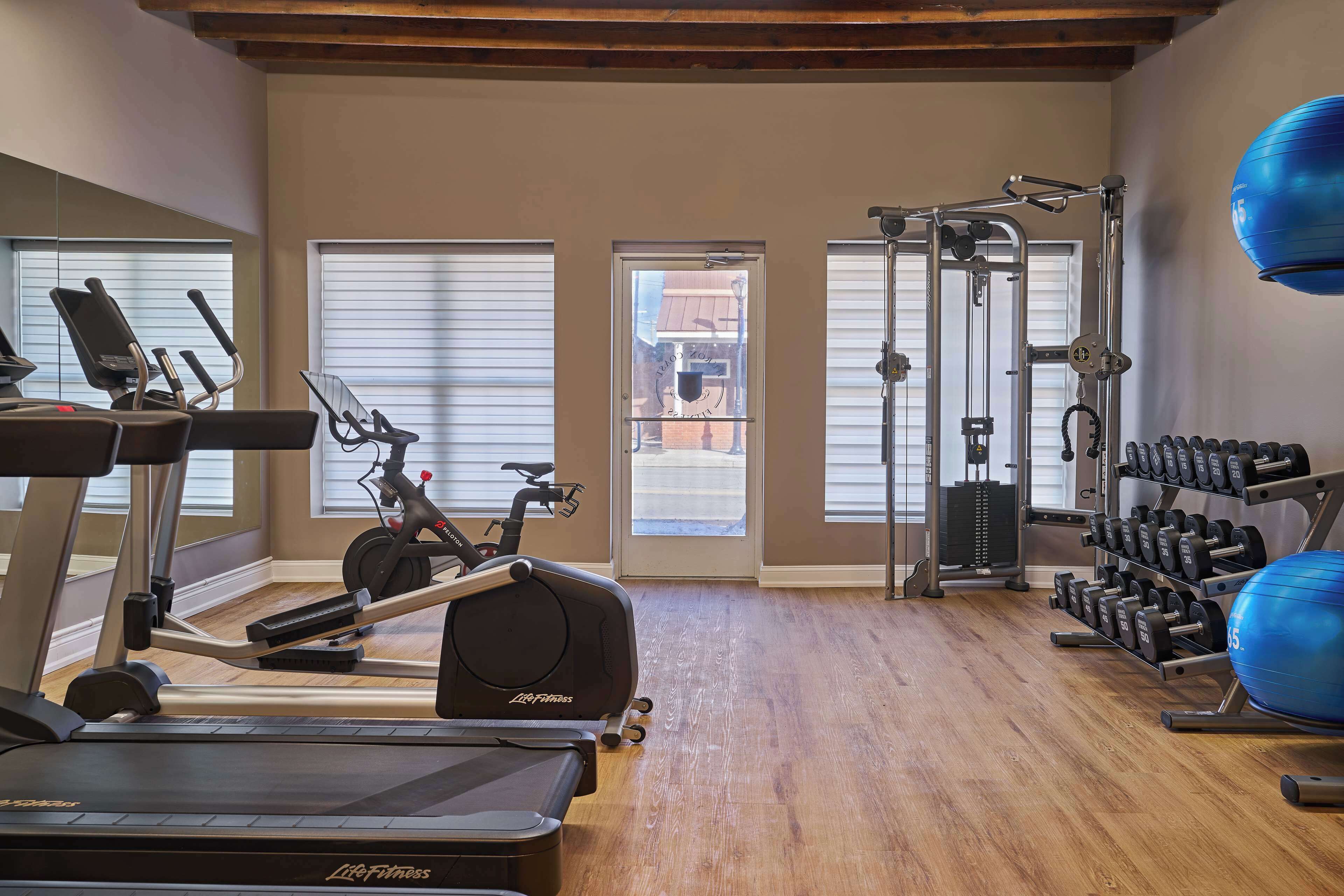 A gym with treadmills, an elliptical, a weight bench, a squat rack, and a set of dumbbells.