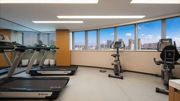 A gym with treadmills, stationary bikes, and weights, with a city view through large windows.