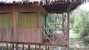 A wooden structure with a thatched roof, a covered deck, and a small seating area.