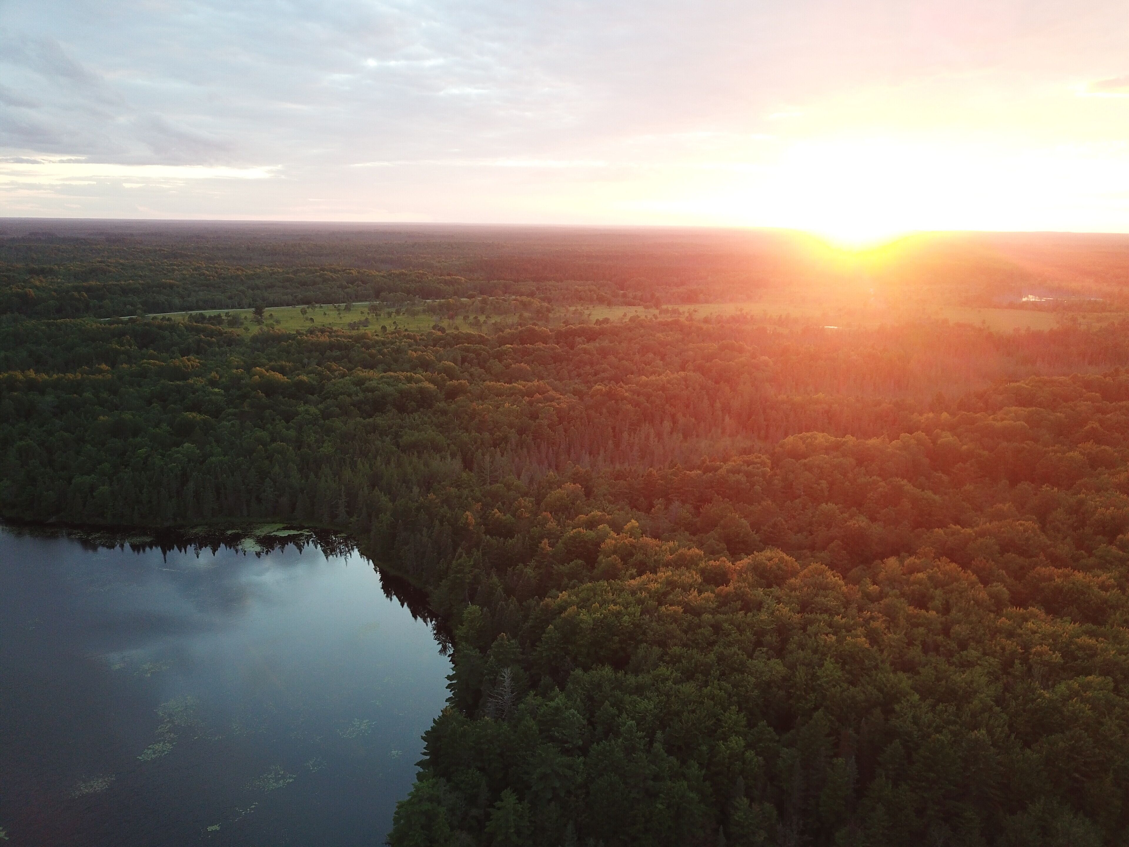 A panoramic view of a forested landscape with a lake, likely taken during sunrise or sunset.