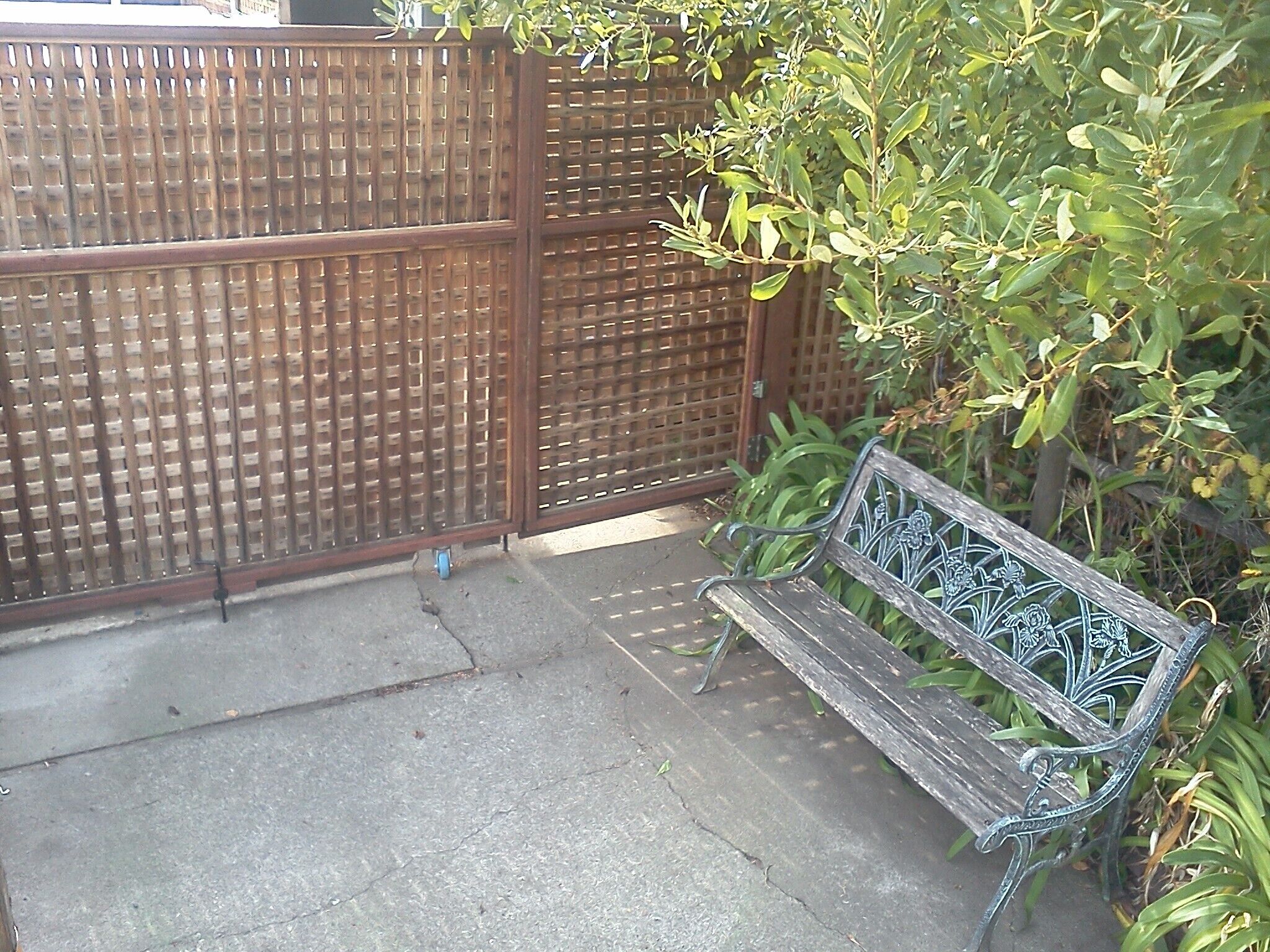 A wooden fence, a bench, and a plant.