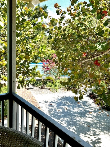 View From Porch