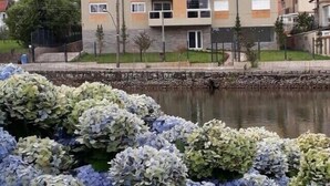 Un edificio residencial de varios pisos con fachada de piedra y numerosas ventanas.