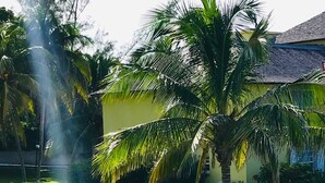 Un césped cuidado con una palmera, una casa con techo de tejas y un cielo despejado.
