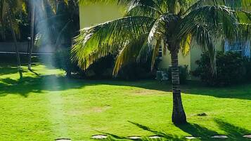 A well-maintained lawn with a palm tree, a house with a tiled roof, and a clear sky.