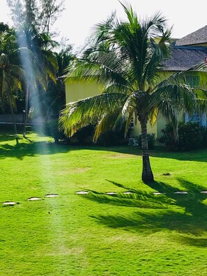 Property grounds - Sea Palms, Tower Isle: near Ocho Rios (Tower Isle)