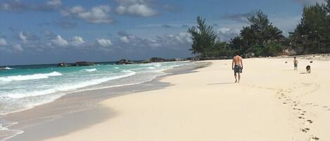 A wide sandy beach with gentle waves, a clear sky, and some trees in the background.