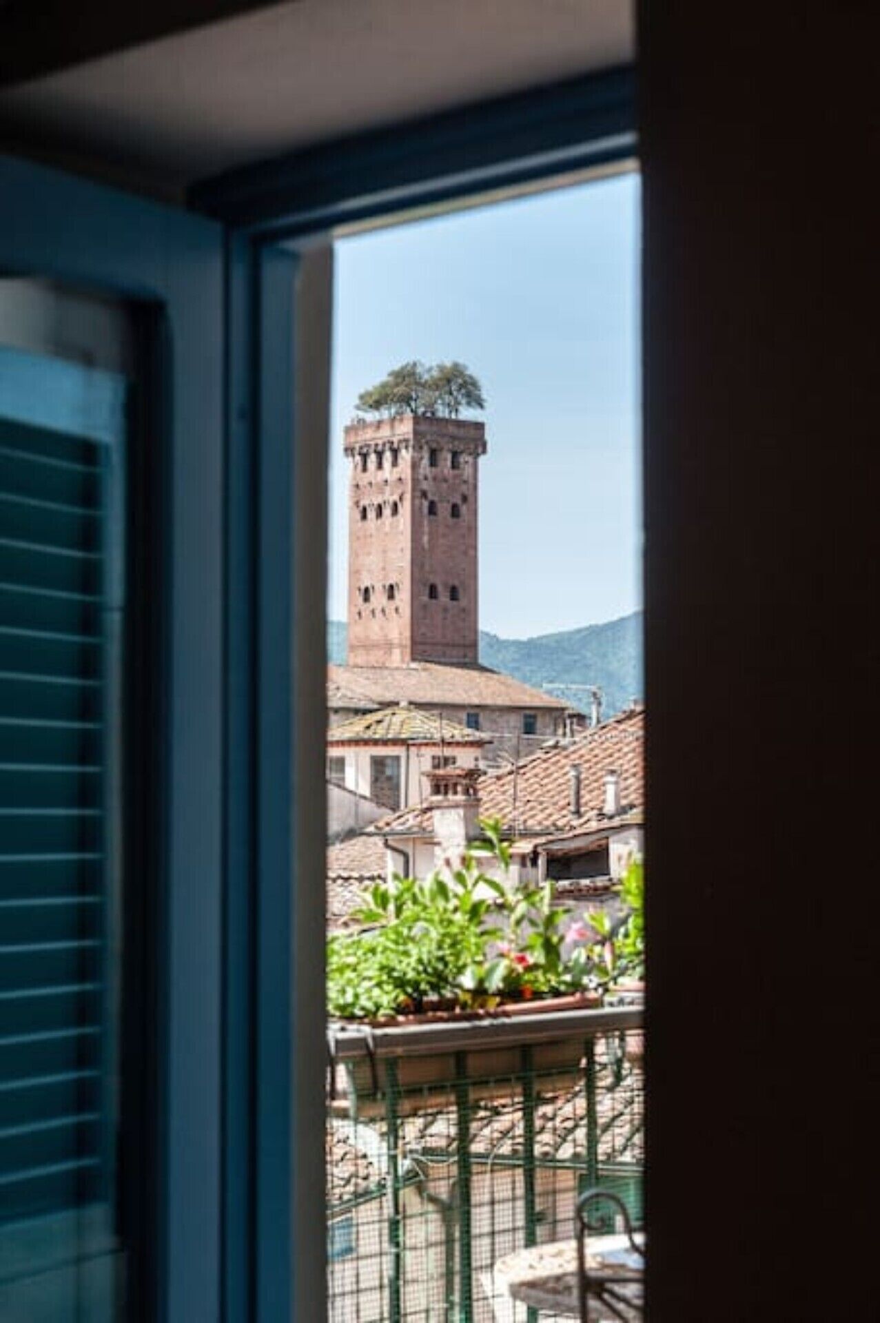 A view of a tower with a tree on top, surrounded by buildings with terracotta roofs.
