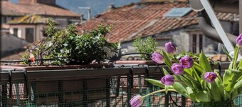  Lucca center: Duke Design apartment  with wonderful view