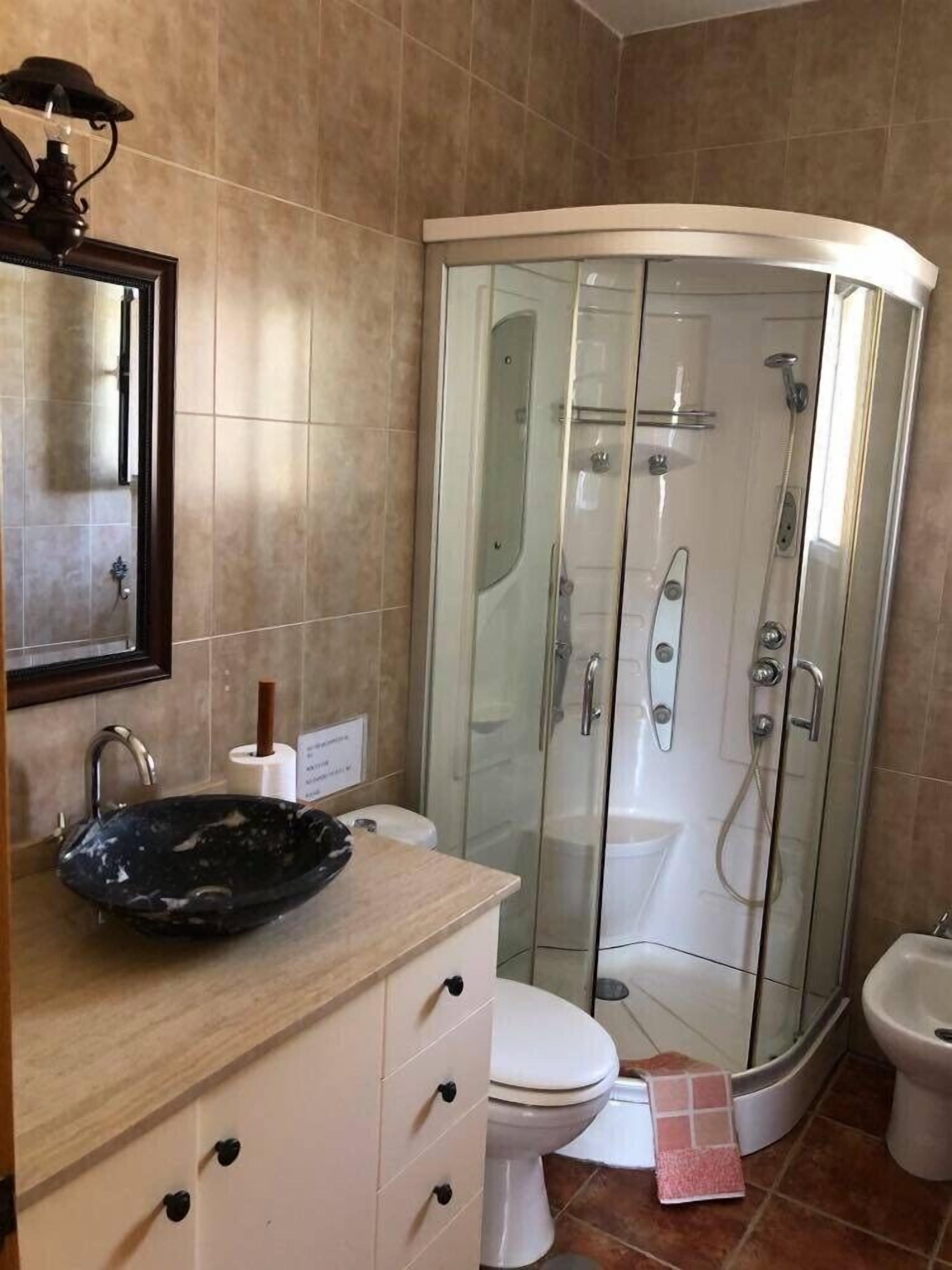 Bathtub, hair dryer, bidet, towels