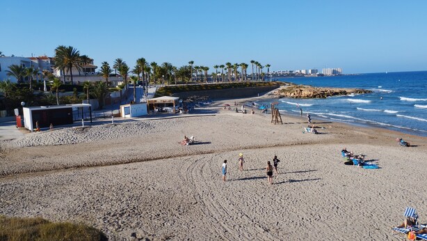 A beach with a sandy shore, palm trees, and a rocky outcrop.